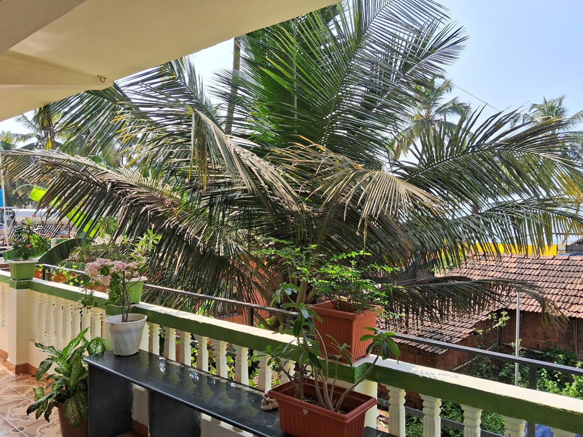Cupid'S Heaven Resort Agonda Szoba fotó